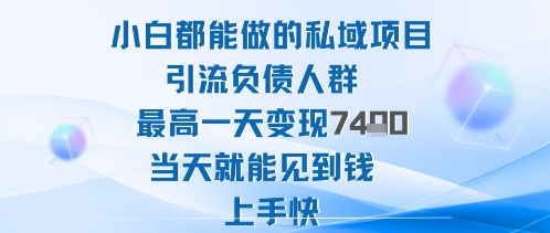 2025年小白都能做的私域项目引流负债人群最高一天变现1k 高变现难度低当天就能见到钱上手快