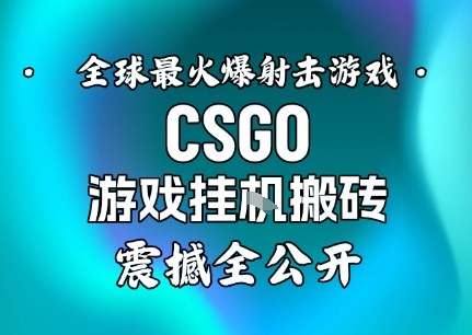 【年底大揭秘】基于全球最火爆的射击CSGO游戏挂G搬砖，日入5张 ，震撼公开