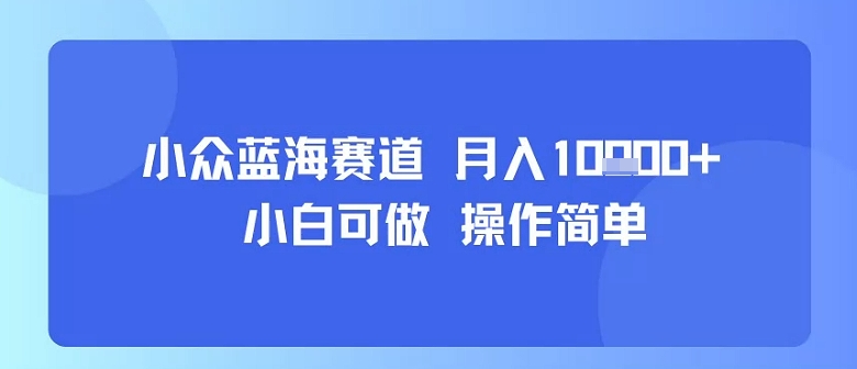 小众蓝海赛道，小白可做，操作简单，每天30分钟，月入1W 