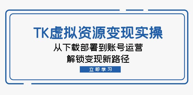 (12770期)TK虚拟资源变现实操:从下载部署到账号运营,解锁变现新路径