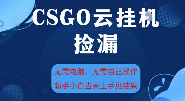 CSGO云挂G全自动捡漏，最新独家玩法，无需电脑操作，新手小白日入5张 【揭秘】