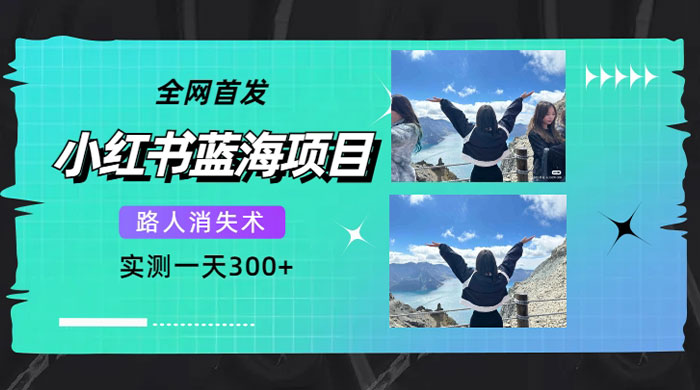 小红书蓝海项目，路人消失术，实测一天 300 