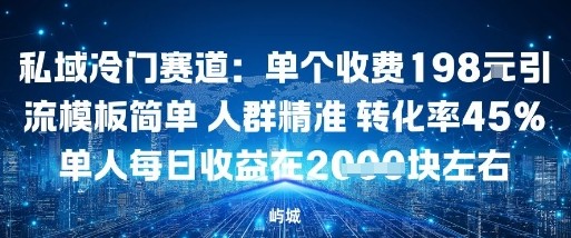 私域冷门赛道：单个收费198米引流模板简单人群精准转化率45%单人每日收益在1k 