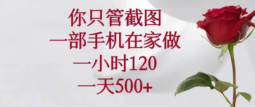 （14248期）你只管截图，一部手机在家做，一小时120，一天500 