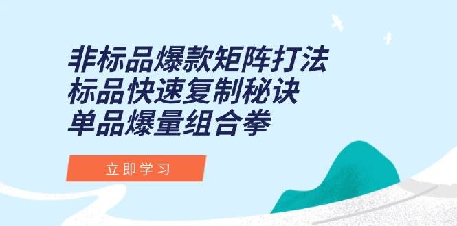 （15068期）非标品爆款矩阵打法，标品快速复制秘诀，单品爆量组合拳