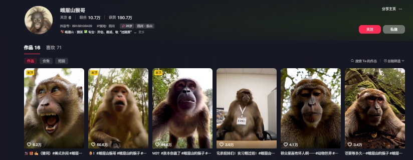 最新爆火的峨眉山猴子短视频制作教程，条条点赞10w ，谁做谁火【教程 提示词】