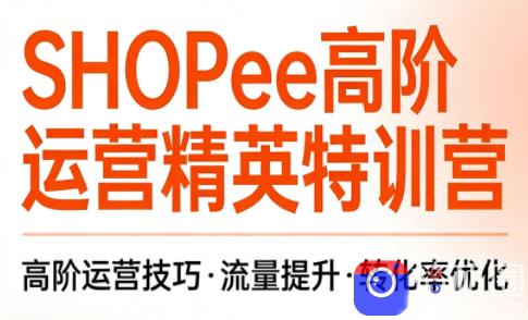 梦凡老师·Shopee虾皮高阶运营课程(更新)