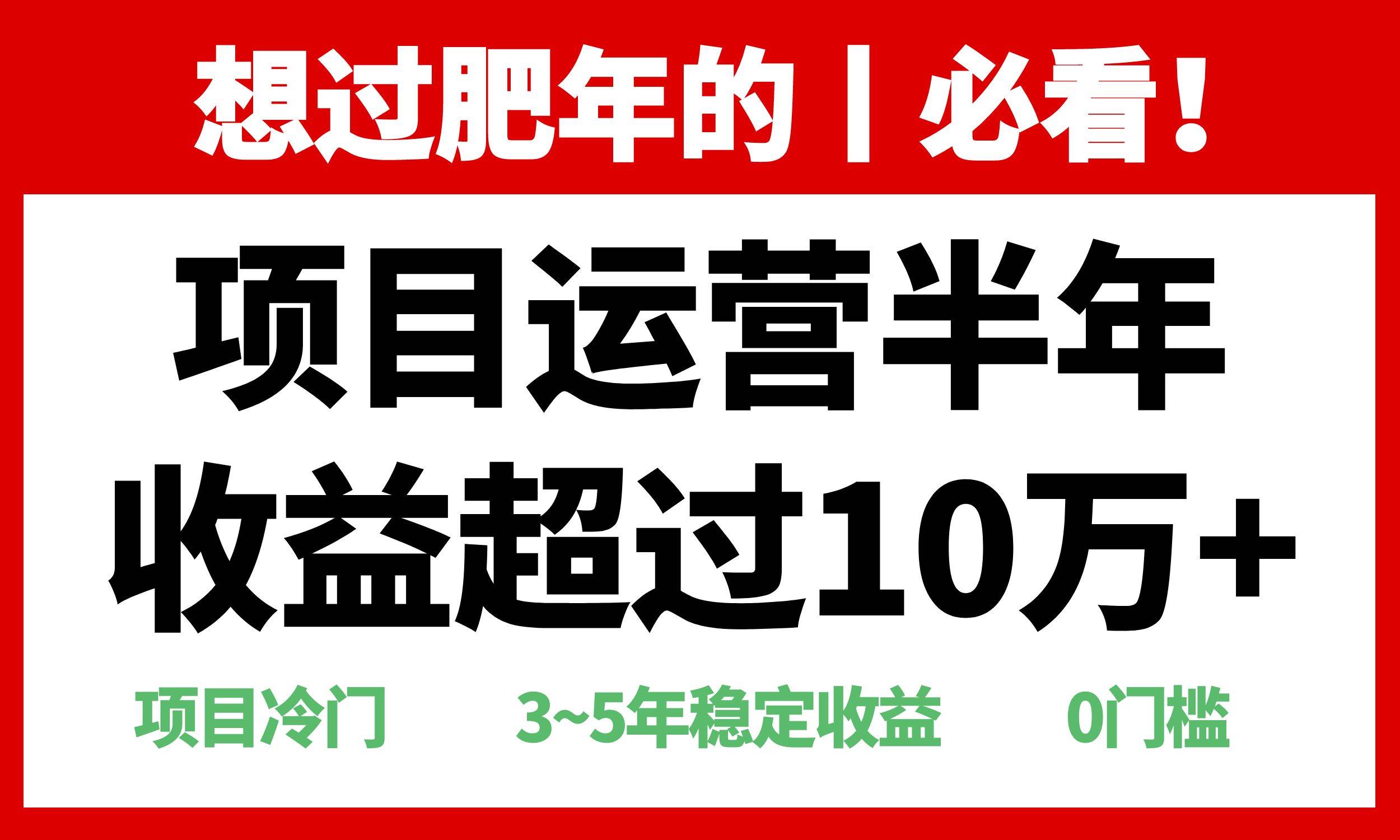 （13663期）年前过肥年的必看的超冷门项目，半年收益超过10万 ，