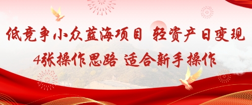 低竞争小众蓝海项目，轻资产日变现4张的操作思路适合新手操作
