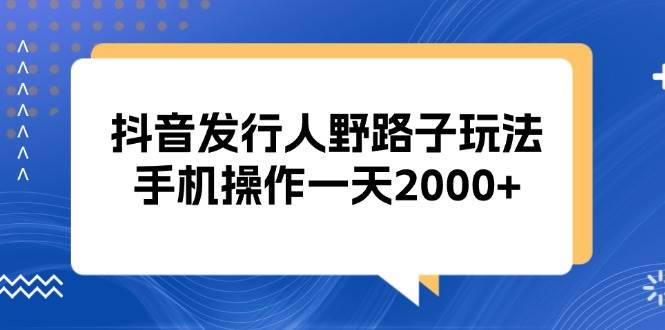 （13220期）抖音发行人野路子玩法，手机操作一天2000 