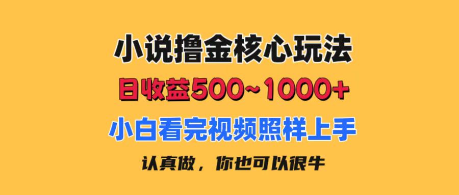 （11461期）小说撸金核心玩法，日收益500-1000 ，小白看完照样上手，0成本有手就行