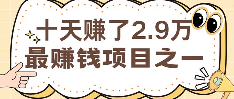 （12491期）闲鱼小红书赚钱项目之一，轻松月入6万 项目