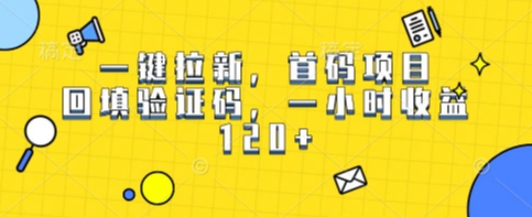 一键拉新，首码项目，回填验证码，一小时收益1张