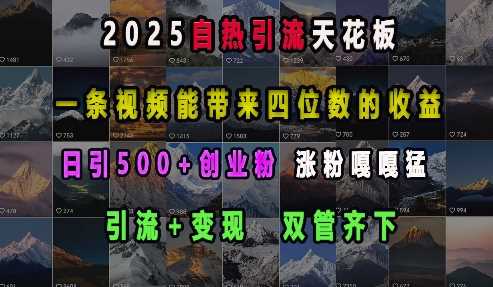 2025自热引流天花板，一条视频能带来四位数的收益，引流 变现双管齐下，日引500 创业粉，涨粉嘎嘎猛
