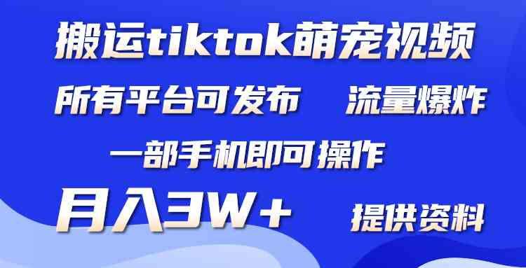 （9618期）搬运Tiktok萌宠类视频，一部手机即可。所有短视频平台均可操作，月入3W 
