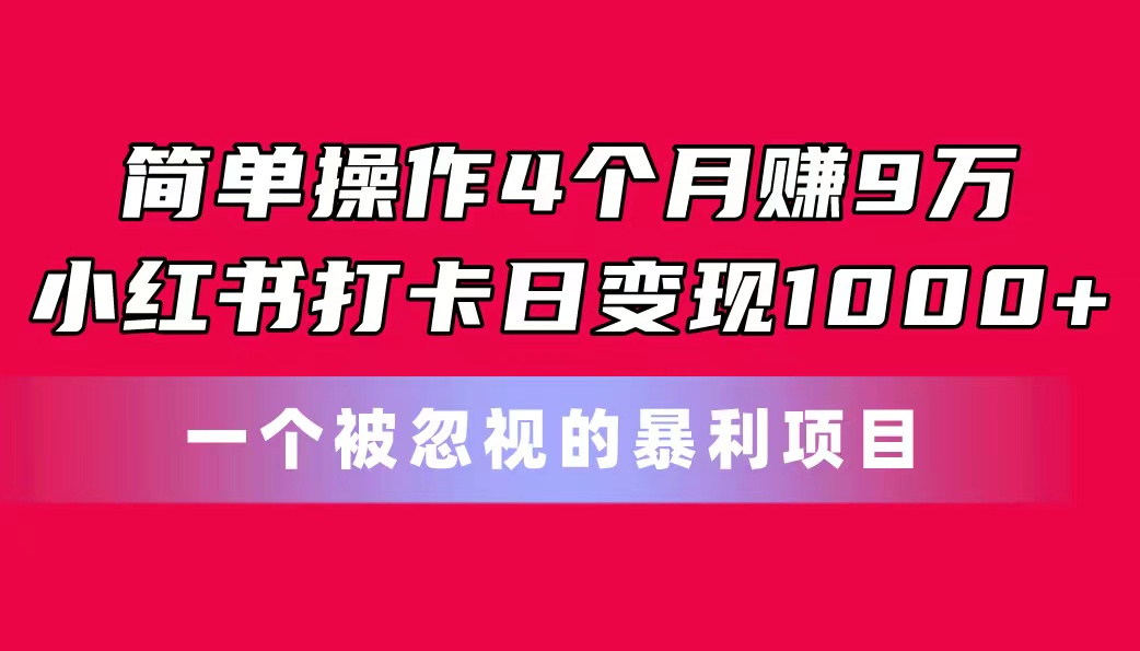 （11048期）简单操作4个月赚9万！小红书打卡日变现1000 ！一个被忽视的暴力项目