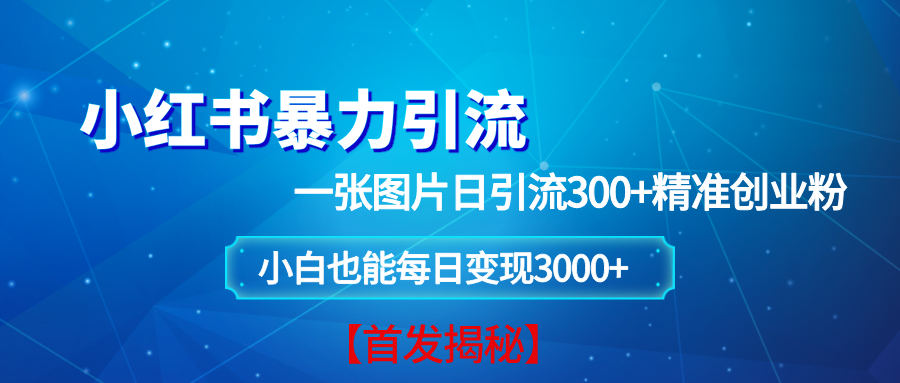 （13935期）小红书暴力引流法，一张图片日引 300 精准创业粉，每日稳定变现 3000 【揭秘】