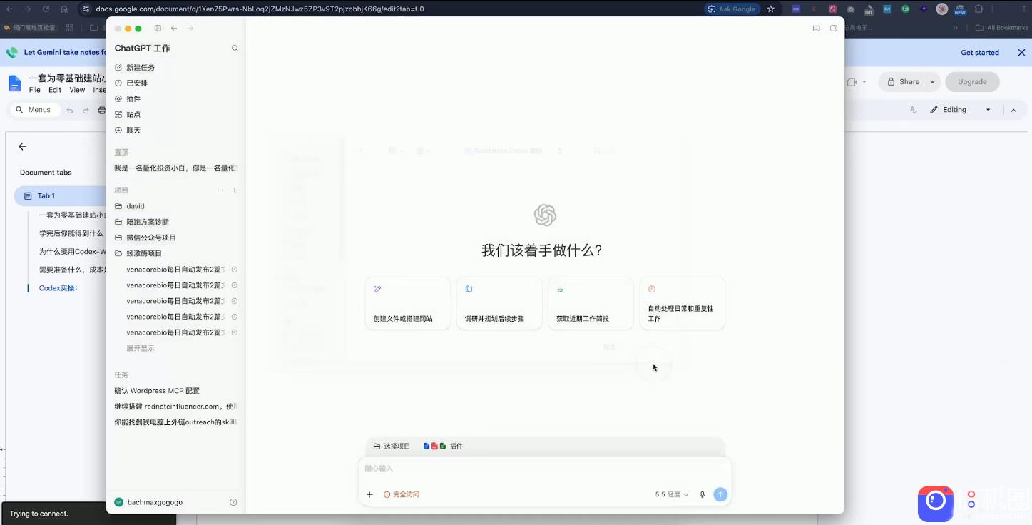 外贸人Codex WordPress建站课