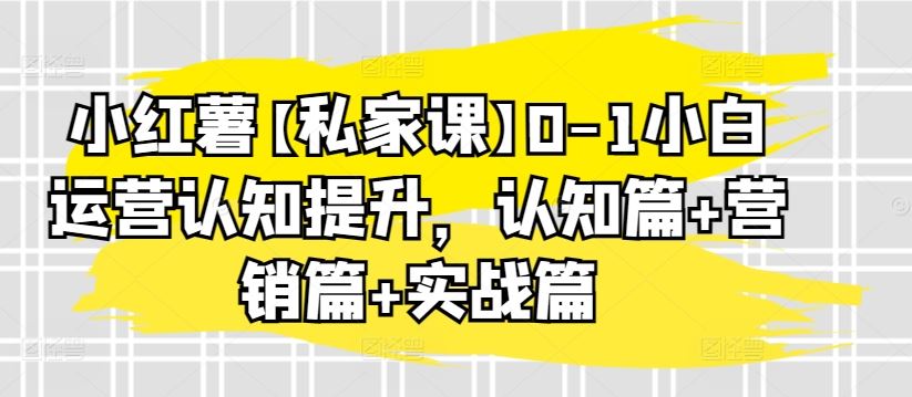 小红薯【私家课】0-1小白运营认知提升，认知篇 营销篇 实战篇