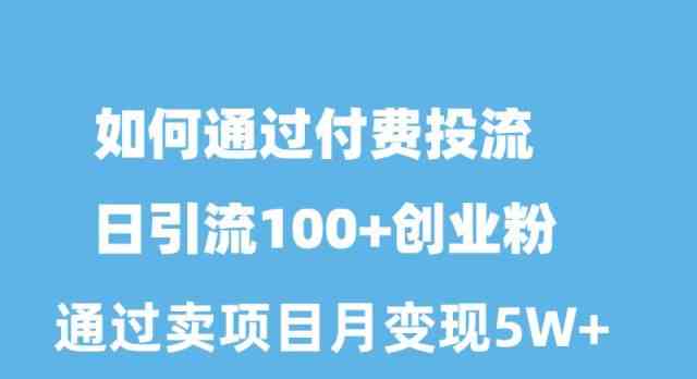 （10189期）如何通过付费投流日引流100 创业粉月变现5W 