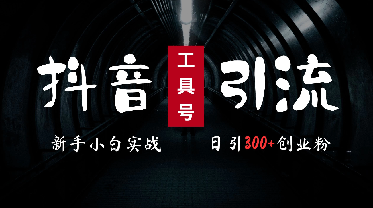 2024最新抖音工具号引流玩法，高效日引300 创业粉，当天变现5000 ，小白也可成为实战高手