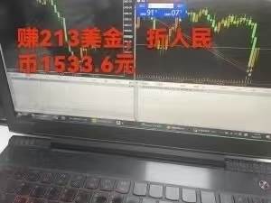 (15632期)稳定8年的美刀搬砖项目,单人每日收益800—3000.团队4人月入10W .可线下