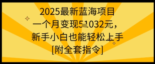 2025最新蓝海项目一个月变现1w 新手小白也能轻松上手【附全套指令】