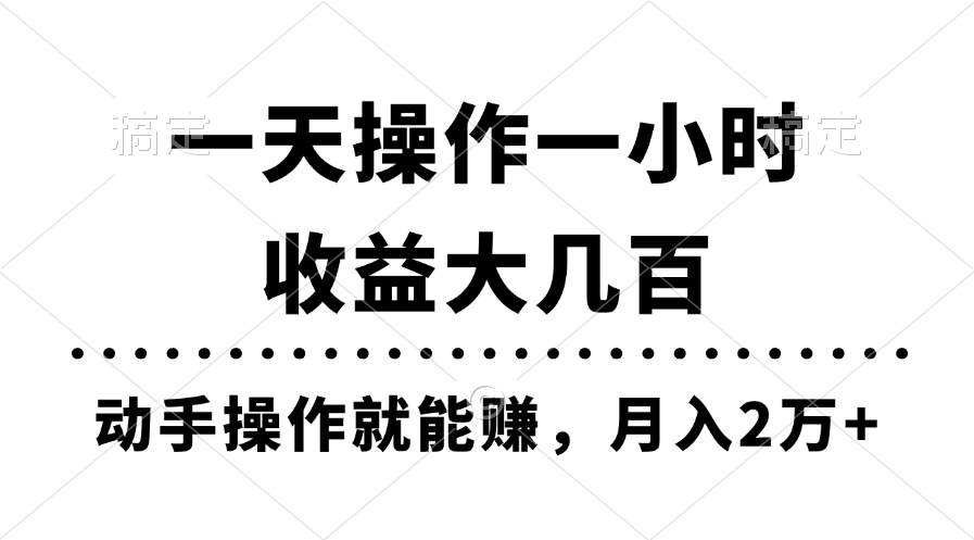 （11263期）一天操作一小时，收益大几百，动手操作就能赚，月入2万 教学