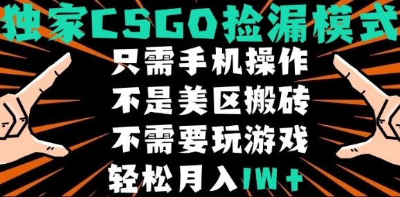 CSGO自动捡漏项目，最新独家玩法，不是美区搬砖，不需要了解和玩游戏，新手小白轻松月入1W 【揭秘】