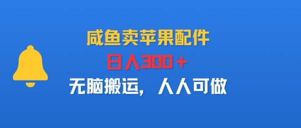 咸鱼卖苹果配件，日入3张 ，无脑搬运，人人可做