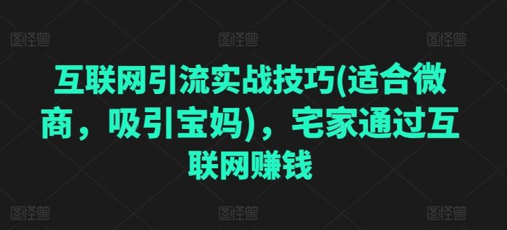 互联网引流实战技巧(适合微商，吸引宝妈)，宅家通过互联网创钱