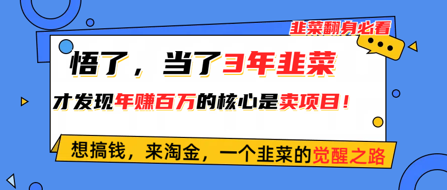 （10759期）悟了，当了3年韭菜，才发现网创圈年赚100万的核心是卖项目，含泪分享！