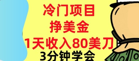 冷门项目挣美刀,0门槛,1天收入80刀,3分钟学会,这个方法要学会