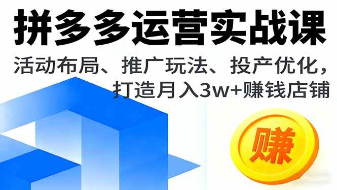 （16135期）拼多多运营实战课，活动布局、推广玩法、投产优化，打造月入3w 赚钱店铺