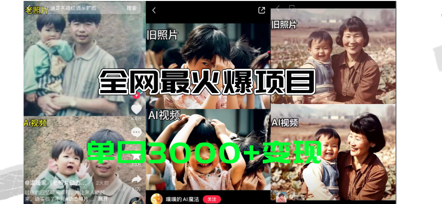 （11546期）全网爆火的AI让老照片动起来教程，蹭热点日赚3000 ，内含免费工具一键…