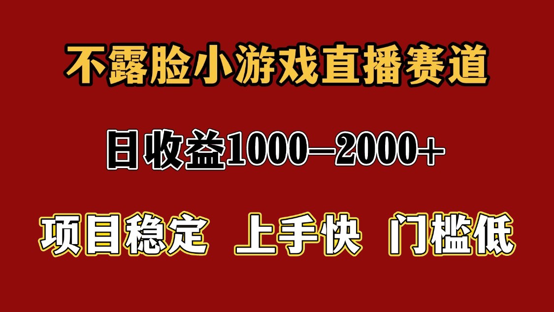 一天收益1000  暑假高收益稳定项目