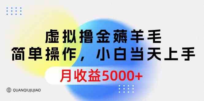 （9864期）虚拟撸金薅羊毛，简单操作，小白当天上手，月收益5000 