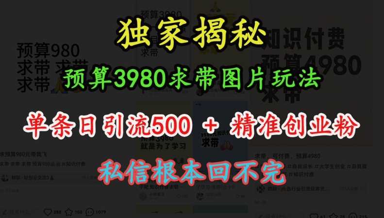 预算3980求带 图片玩法，单条日引流500 精准创业粉，私信根本回不完