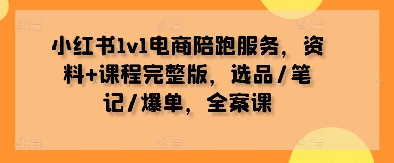 小红书1v1电商陪跑服务,资料 课程完整版,选品/笔记/爆单,全案课