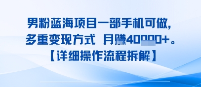 8月新男粉蓝海项目一部手机可做，多重变现方式 月入4W 【详细操作流程拆解】