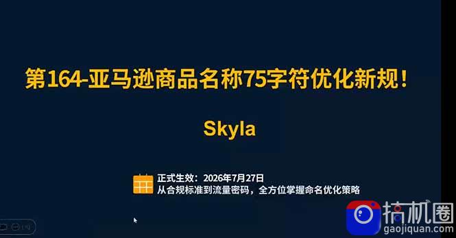 亚马逊跨境实战课：全品类选品逻辑｜SP/SB/SD广告精细化｜新品打爆旺季爆单全套运营教程