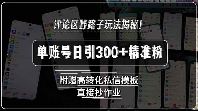 （15466期）评论区野路子玩法揭秘！单账号日引300 精准粉，附赠高转化私信模板，直…