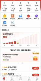 （12035期）拼多多虚拟电商，单人操作10家店，单店日盈利100 
