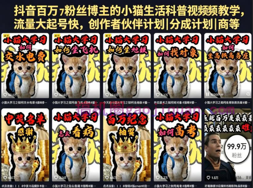 抖音百万粉丝博主的小猫生活科普视频教学,流量大起号快,创作者伙伴计划|分成计划|商单|收徒等