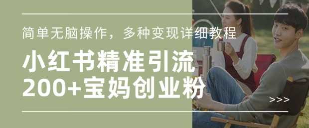 小红书混剪日引200 宝妈创业粉，简单无脑操作，多种变现详细教程