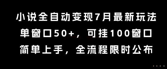 小说全自动变现7月玩法，单窗口50 ，可挂100窗口，简单上手，全流程限时公布【揭秘】