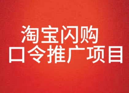 淘宝闪购口令推广项目,收益可观,一部手机,一个抖音号即可操作