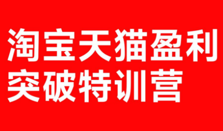 玺承·淘宝天猫盈利突破特训营(25年12月线下课)【音频 字幕】