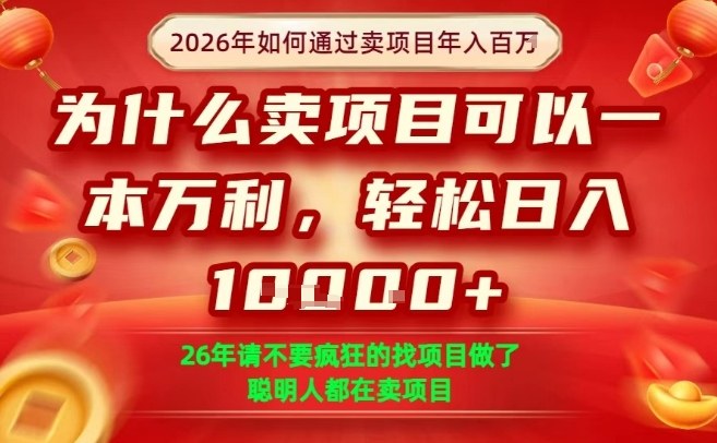 一单净利润1K ,26年想年入100个W,死磕卖项目就够了【揭秘】