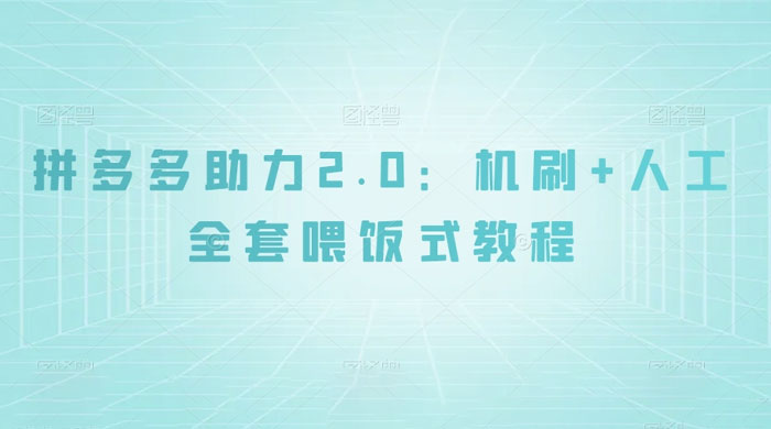拼夕夕助力 2.0 新玩法：机刷 人工全套交付，喂饭式教程